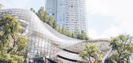 Singapore - Arrival Card